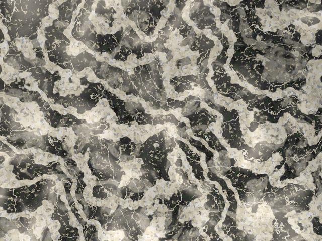Polished black and white marble surface